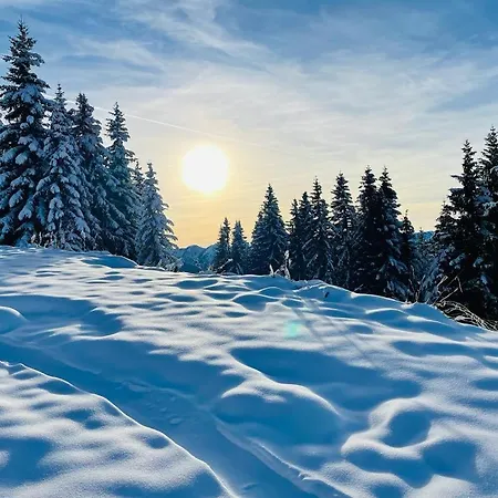 Bright Side Of Life - Am Sonnenhang